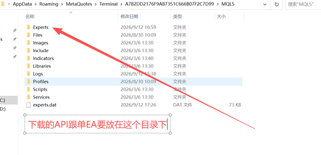 MQL5 Experts 目录